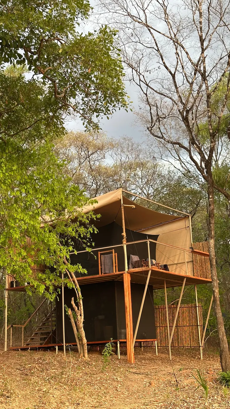 Full view of an elevated timber room among trees at Mkuti