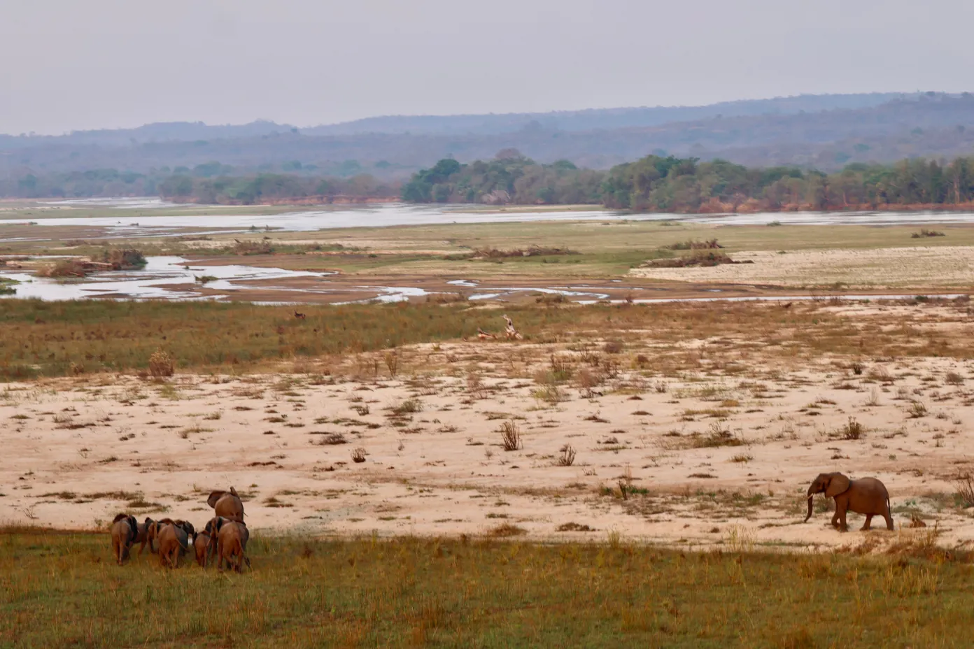 Wildlife across the pale Luwego valley floor