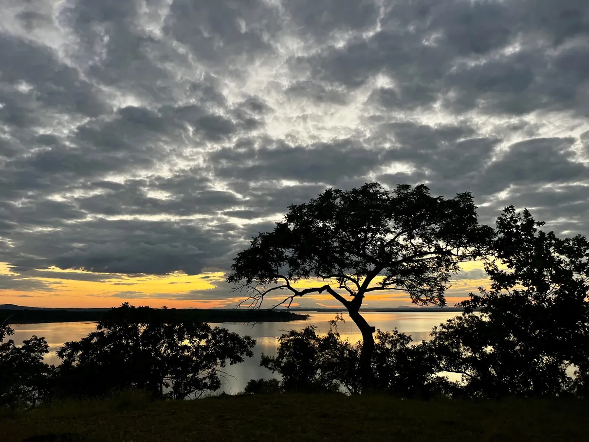Silhouetted tree at sunset beside the lake at Shangaa